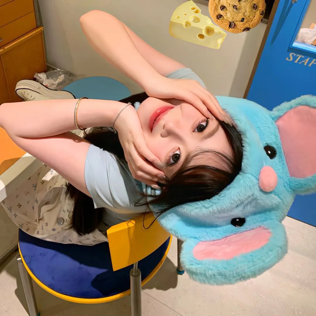 火之鸟772